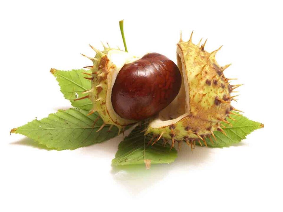Krém zxcvbnmqwert